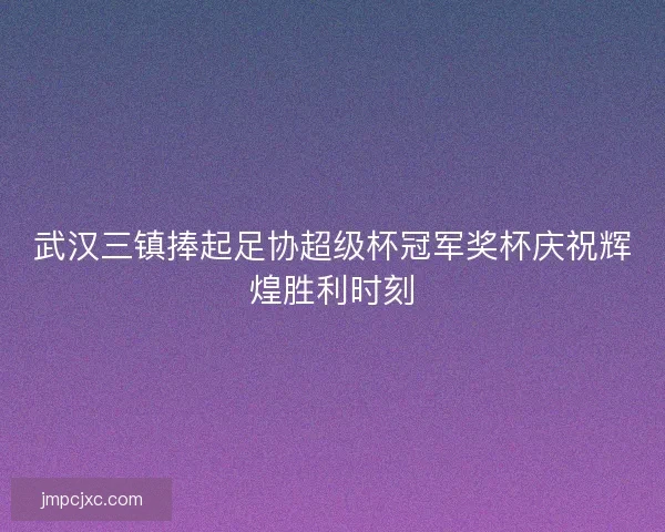 武汉三镇捧起足协超级杯冠军奖杯庆祝辉煌胜利时刻 武汉三镇捧起足协超级杯冠军奖杯庆祝辉煌胜利时刻