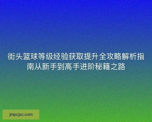 街头篮球等级经验获取提升全攻略解析指南从新手到高手进阶秘籍之路